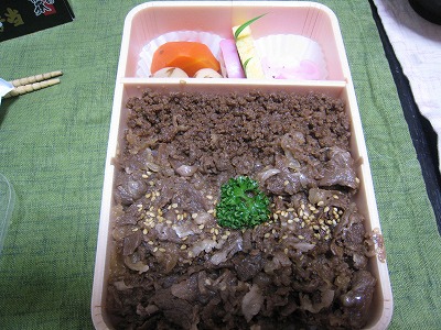 20090112img_5227