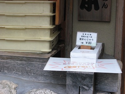20090223img_5294