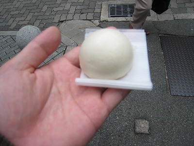 20090223img_5295