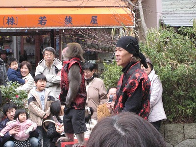 20090223img_5300