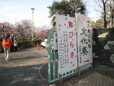 20090228img_5305