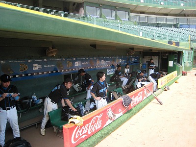 20090822img_58441